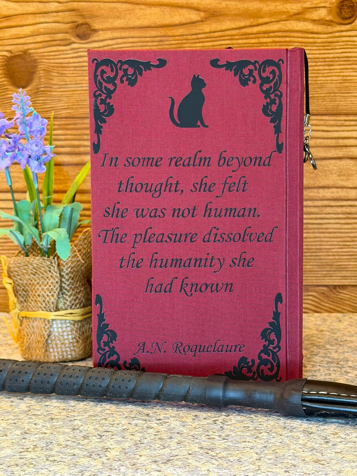 Rebind of The Claiming of Sleeping Beauty Series